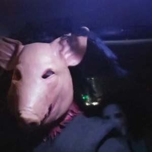 Meet your Posher, Luis